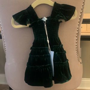NWT Hill House baby nap dress - emerald velvet